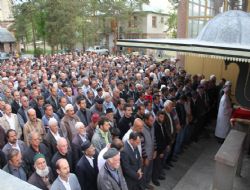 Oltu Aslan'a ağladı